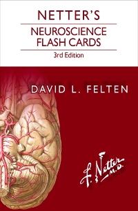 cover image - Netter's Neuroscience Flash Cards Elsevier eBook on VitalSource,3rd Edition