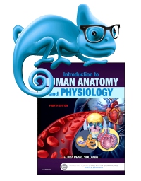 cover image - Elsevier Adaptive Learning for Introduction to Human Anatomy and Physiology,4th Edition