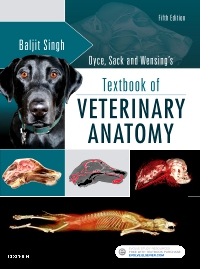 cover image - Evolve Resources for Dyce, Sack and Wensing's Textbook of Veterinary Anatomy,5th Edition