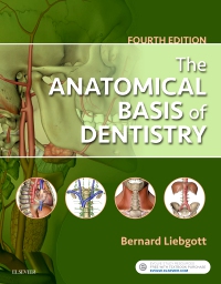 cover image - The Anatomical Basis of Dentistry,4th Edition