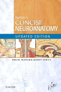 cover image - Netter's Concise Neuroanatomy Updated Edition Elsevier eBook on VitalSource,1st Edition