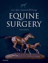 cover image - Equine Surgery - Elsevier eBook on VitalSource,5th Edition