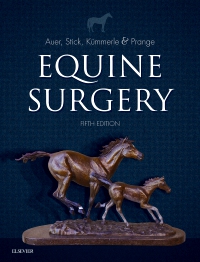 cover image - Equine Surgery,5th Edition