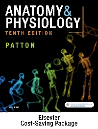 cover image - Anatomy & Physiology - Binder-Ready (includes A&P Online course),10th Edition