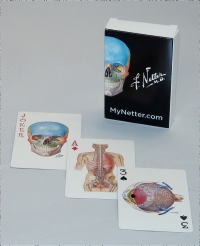 cover image - Netter Playing Cards,1st Edition