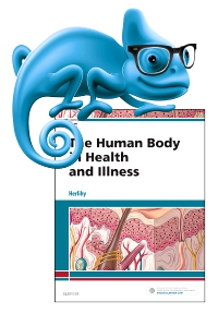 cover image - Elsevier Adaptive Learning for The Human Body in Health and Illness,6th Edition
