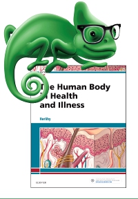 cover image - Elsevier Adaptive Quizzing for The Human Body in Health & Illness - Classic Version,6th Edition