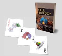 cover image - Cell Biology Playing Cards,1st Edition