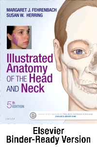 cover image - Illustrated Anatomy of the Head and Neck - Binder Ready,5th Edition