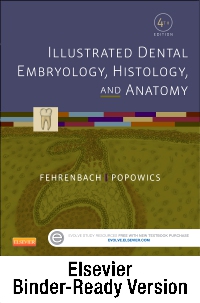 cover image - Illustrated Dental Embryology, Histology, and Anatomy - Binder Ready,4th Edition