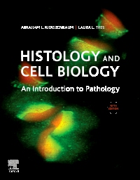 cover image - Histology and Cell Biology: An Introduction to Pathology Elsevier eBook on VitalSource,5th Edition