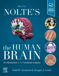 cover image - Evolve Resources for Nolte's The Human Brain,8th Edition