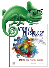 cover image - Elsevier Adaptive Quizzing for Anatomy and Physiology,11th Edition