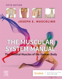 cover image - The Muscular System Manual,5th Edition
