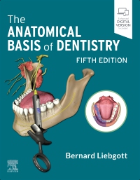 cover image - The Anatomical Basis of Dentistry,5th Edition