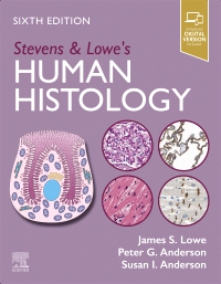 cover image - Stevens & Lowe's Human Histology,6th Edition