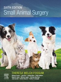 cover image - Small Animal Surgery Elsevier eBook on VitalSource, 6th Edition