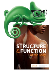 cover image - Elsevier Adaptive Quizzing for Structure & Function of the Body,17th Edition