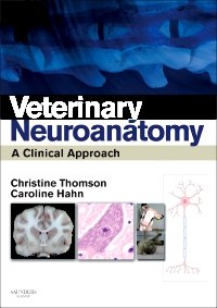 cover image - Veterinary Neuroanatomy,1st Edition