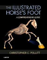 cover image - The Illustrated Horse's Foot,1st Edition