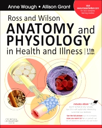 cover image - Ross and Wilson Anatomy and Physiology in Health and Illness - Elsevier eBook on VitalSource,11th Edition