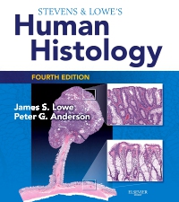 cover image - Stevens & Lowe's Human Histology Elsevier eBook on VitalSource,4th Edition