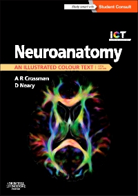 cover image - Neuroanatomy: an Illustrated Colour Text Elsevier eBook on VitalSource,5th Edition