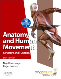 cover image - Anatomy and Human Movement - Elsevier eBook on VitalSource,6th Edition