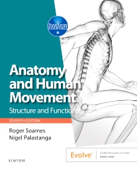 cover image - Anatomy and Human Movement,7th Edition