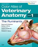 cover image - Evolve - Color Atlas of Veterinary Anatomy, Volume 1, The Ruminants,2nd Edition