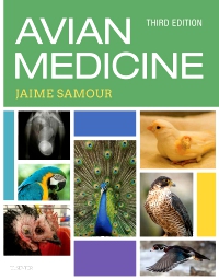 cover image - Avian Medicine,3rd Edition