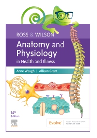 cover image - Elsevier Adaptive Quizzing for Ross & Wilson Anatomy and Physiology in Health and Illness 14th Edition,1st Edition