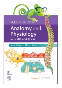 cover image - Elsevier Adaptive Quizzing for Ross & Wilson Anatomy and Physiology in Health and Illness 14th Edition - Access Card, 1st Edition