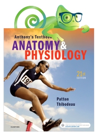 cover image - Elsevier Adaptive Quizzing for Anthony's Textbook of Anatomy and Physiology Australia and New Zealand 21st Edition - NextGen Version,1st Edition
