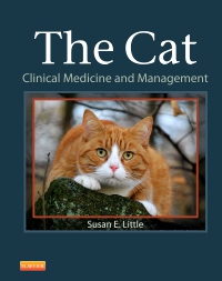 cover image - The Cat