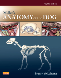 cover image - Miller's Anatomy of the Dog,4th Edition