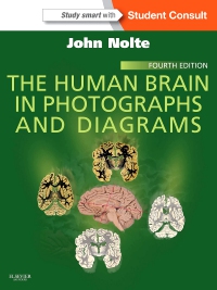 cover image - Evolve Resources for The Human Brain in Photographs and Diagrams,4th Edition