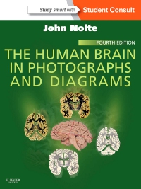 cover image - The Human Brain in Photographs and Diagrams,4th Edition