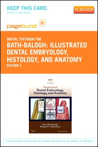 cover image - Illustrated Dental Embryology, Histology, and Anatomy - Elsevier eBook on VitalSource (Retail Access Card),3rd Edition