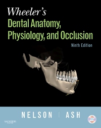 cover image - Wheeler's Dental Anatomy, Physiology and Occlusion - Elsevier eBook on VitalSource,9th Edition