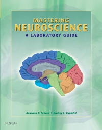 cover image - Mastering Neuroscience - Elsevier eBook on VitalSource,1st Edition