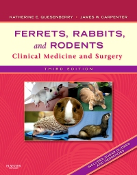 cover image - Ferrets, Rabbits and Rodents - Elsevier eBook on VitalSource,3rd Edition