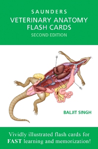 cover image - Veterinary Anatomy Flash Cards,2nd Edition