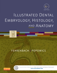cover image - Illustrated Dental Embryology, Histology, and Anatomy,4th Edition