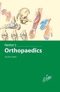 cover image - Netter's Orthopaedics