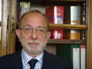 Guido Crisponi