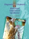 Diagnosis and Treatment of Movement Impairment Syndromes - Elsevier eBook on VitalSource, 1st Edition