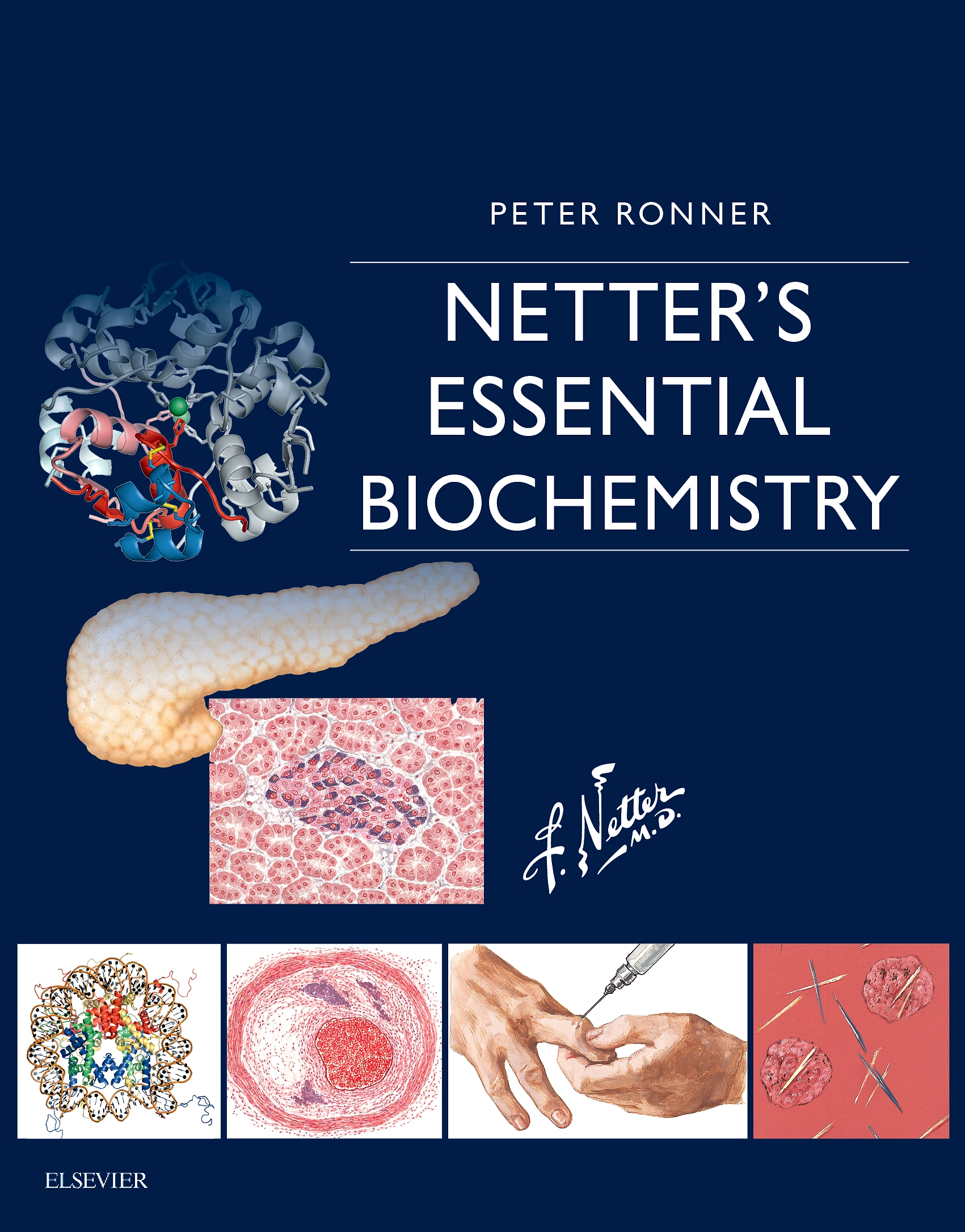 Evolve Resources for Netter's Essential Biochemistry