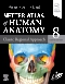 Netter Atlas of Human Anatomy: Classic Regional Approach, 8th