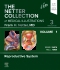 The Netter Collection of Medical Illustrations: Reproductive System, Volume 1, 3rd